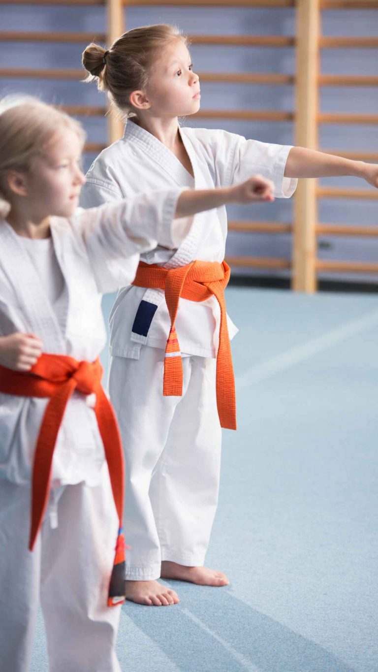 skms academy club sport marseille mma Entrainement Karate Enfant